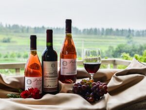 Selective Fridge Repair Perth - Wine Fridges Mobile Repair