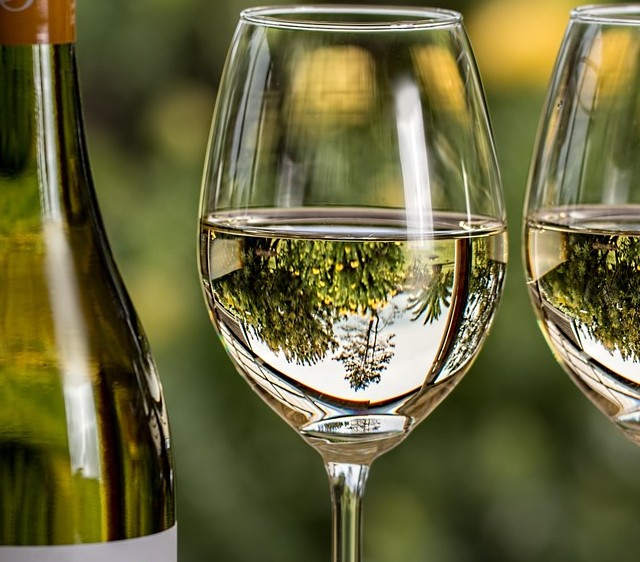 Selective Fridge Repairs Wine Fridge AI Google