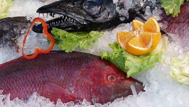 Selective Fridge Repairs - commercial-fridge-repairs-perth-temperature-compliance