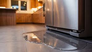 Selective Fridge Mobile Repairs Perth - Leaky Fridge