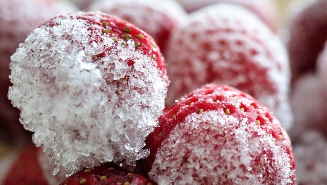 Why Is My Fridge Freezing Food? Common Causes and What to Check